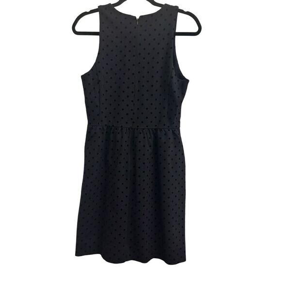J. Crew women's mini dress with velvet polka dots size Small navy blue stretchy - Picture 1 of 7